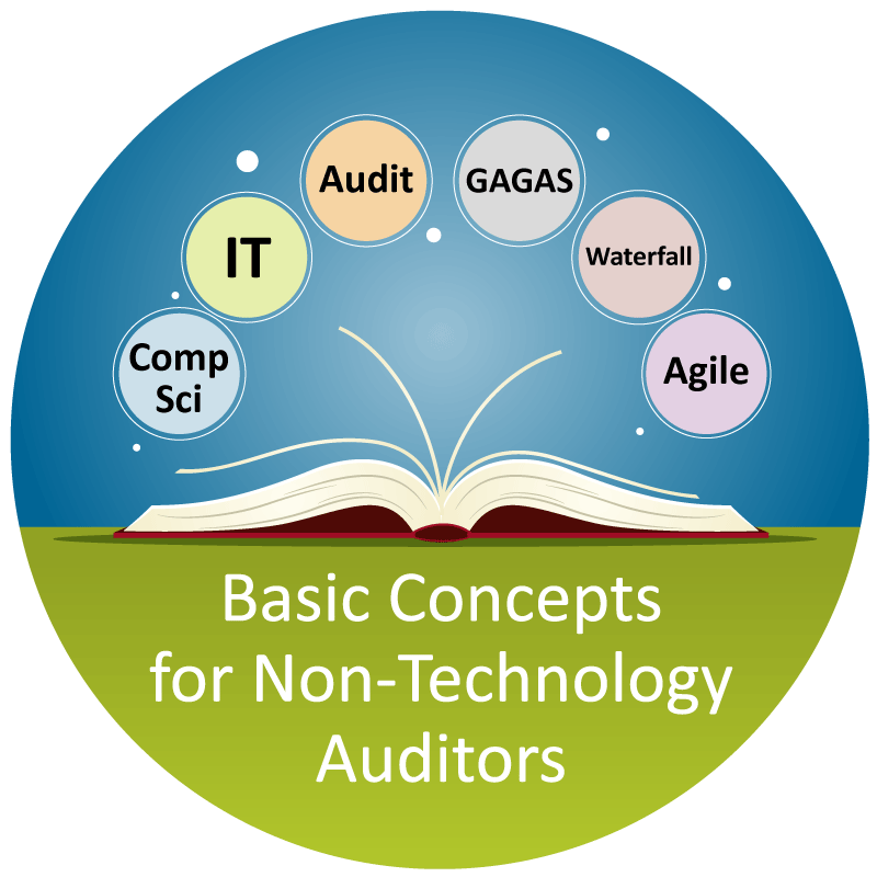 tips to help non-technology auditors manage technology audits